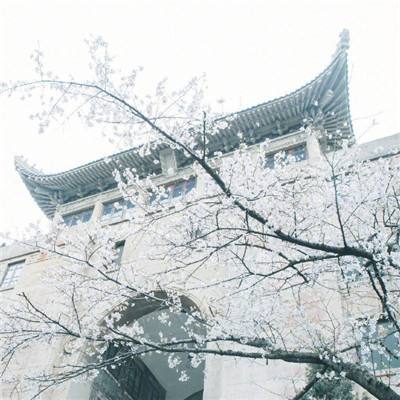 新华日报社：“取消参观预约”的风，何时吹到大学